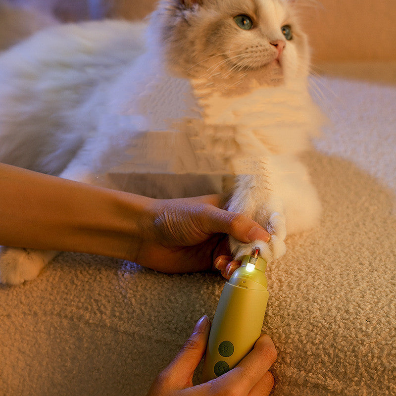 Haute Pawture