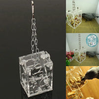 Foragefun Hanging Feeder – the Ultimate Treat Toy for Curious Birds