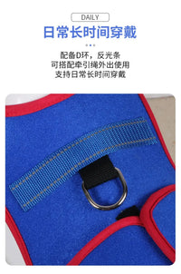 Pet Spine Support Suit - Adjustable Back Brace for Dogs, Posture Correction & Comfort