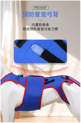 Pet Spine Support Suit - Adjustable Back Brace for Dogs, Posture Correction & Comfort