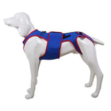 Pet Spine Support Suit - Adjustable Back Brace for Dogs, Posture Correction & Comfort