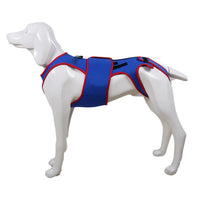 Pet Spine Support Suit - Adjustable Back Brace for Dogs, Posture Correction & Comfort