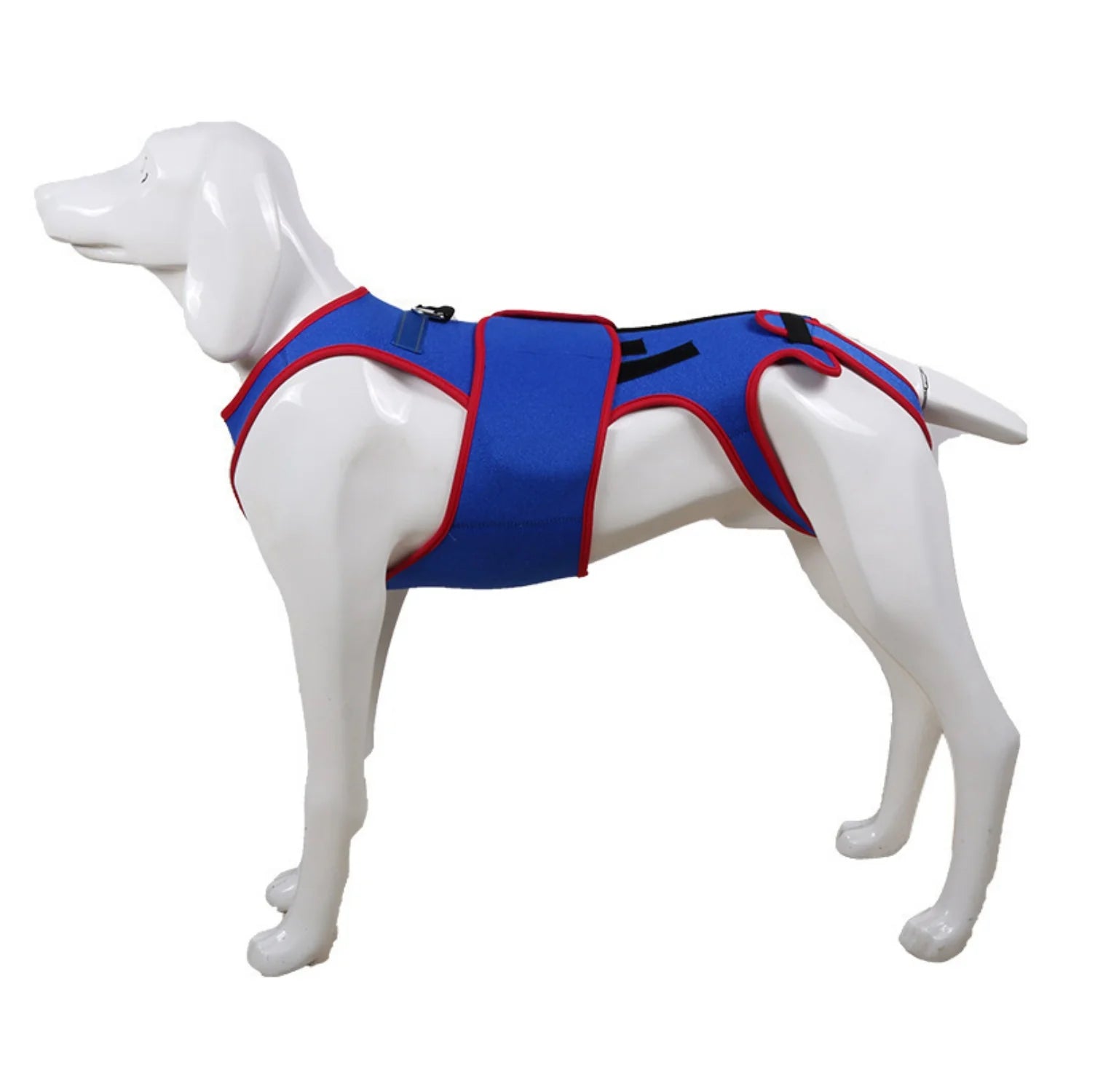Pet Spine Support Suit - Adjustable Back Brace for Dogs, Posture Correction & Comfort