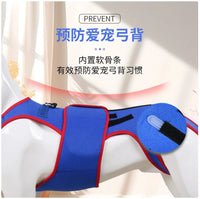 Pet Spine Support Suit - Adjustable Back Brace for Dogs, Posture Correction & Comfort