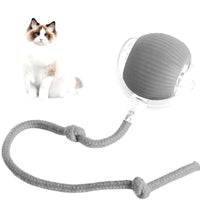 Lettuce Interactive Rolling Ball – Smart, Rechargeable Fun for Cats & Dogs