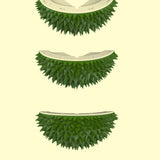 Durian Shaped Toy Hair Remover In The Corner Pet Products Cat Supplies