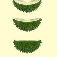 Durian Shaped Toy Hair Remover In The Corner Pet Products Cat Supplies
