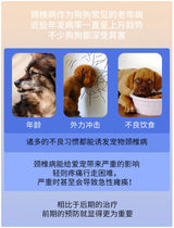 Pet Spine Support Suit - Adjustable Back Brace for Dogs, Posture Correction & Comfort