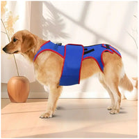 Pet Spine Support Suit - Adjustable Back Brace for Dogs, Posture Correction & Comfort