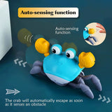 Crabbydash Smart Escape Toy – the Musical, Moving Pet Kids Can’T Catch